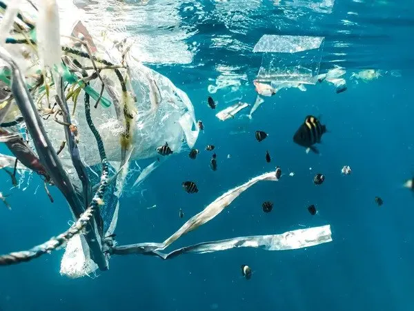 Denizde yüzen plastik atıklar ve balıklar